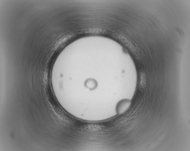 X0000115530636200912040951