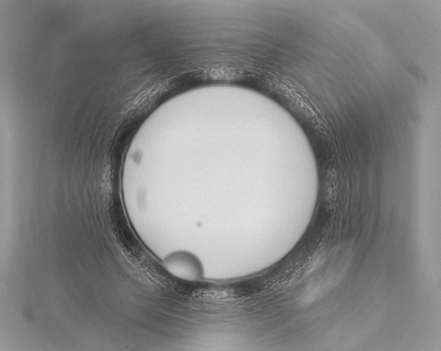 X0000115530639200912040951