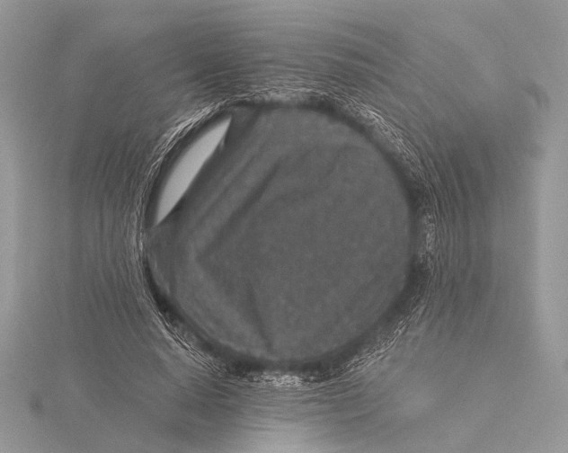 X0000115530640200912040951