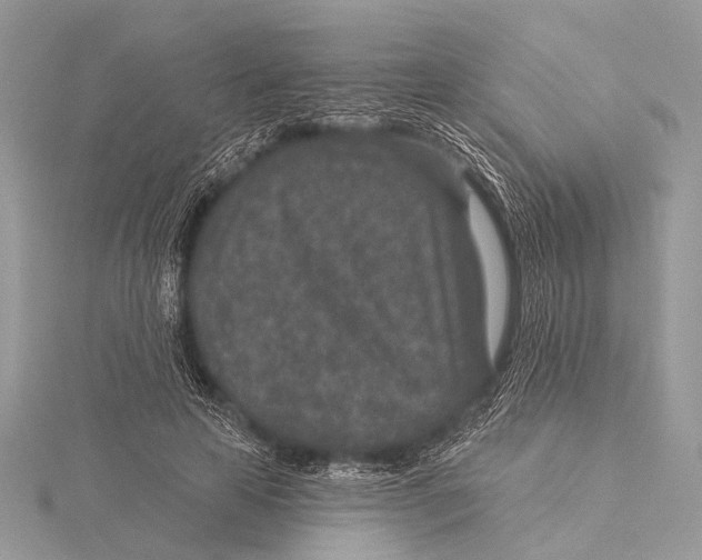 X0000115530641200912040951