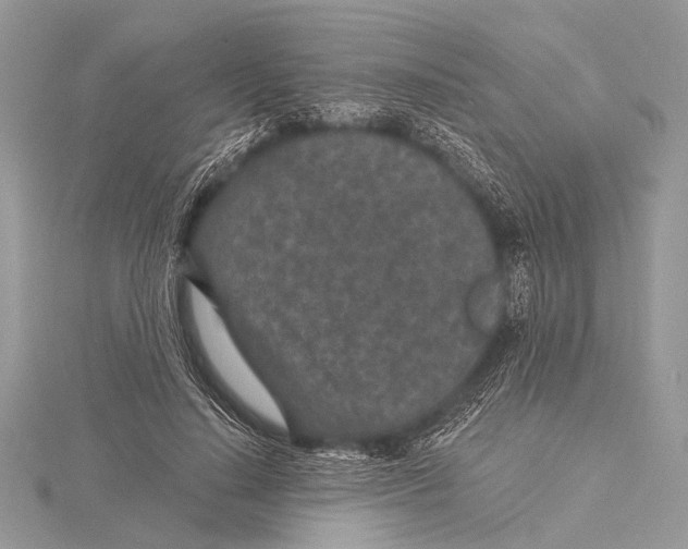 X0000115530644200912040951