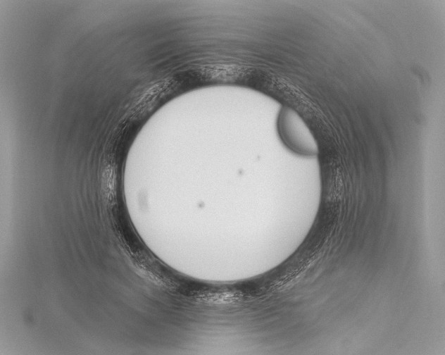 X0000115530646200912040951