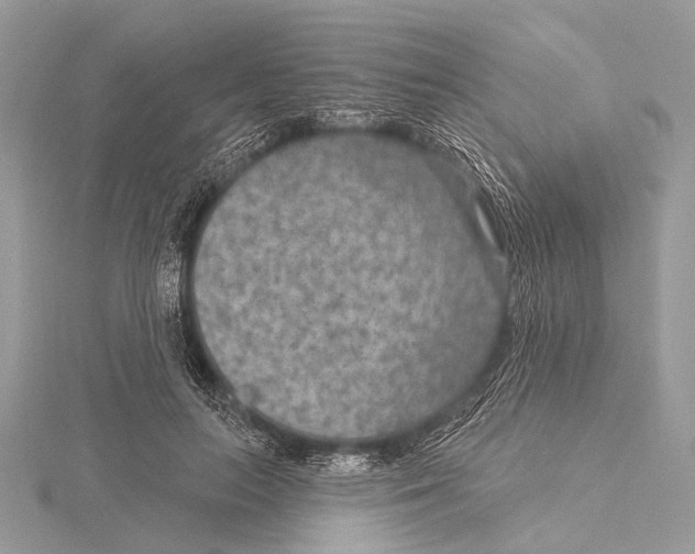 X0000115530647200912040951