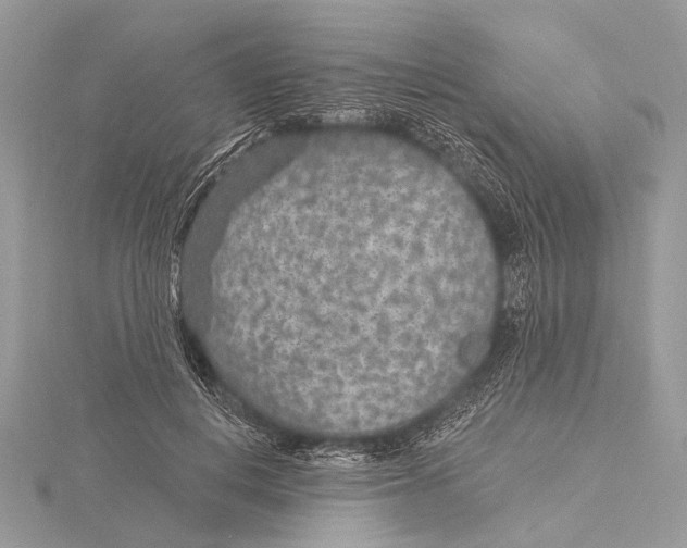 X0000115530648200912040951