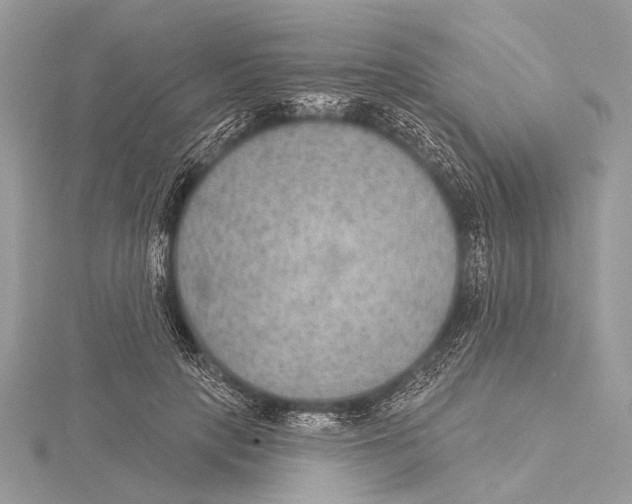 X0000115530649200912040951