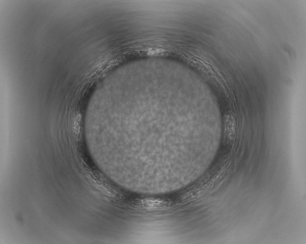 X0000115530650200912040951