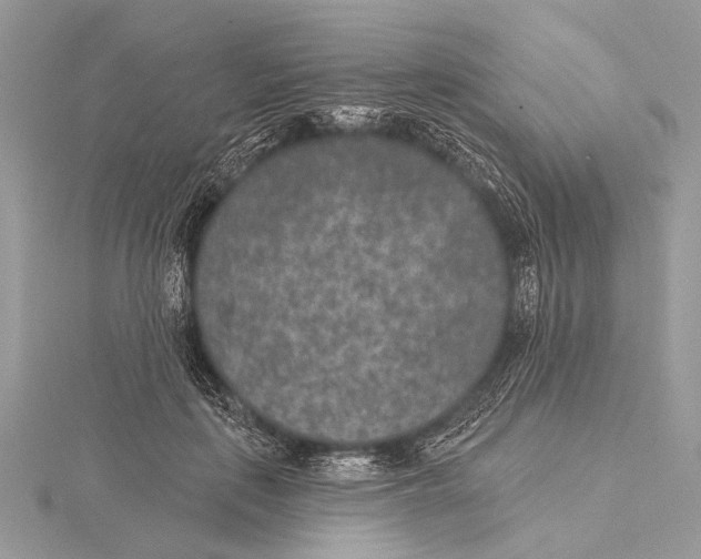 X0000115530651200912040951