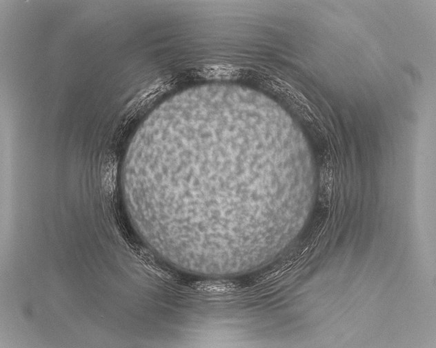 X0000115530652200912040951