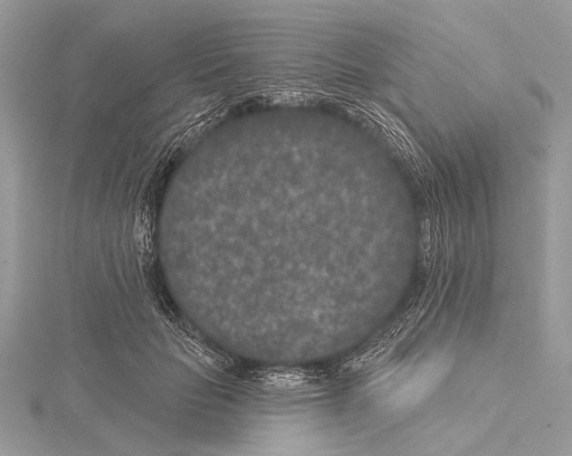 X0000115530653200912040951