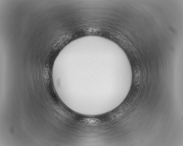 X0000115530654200912040951