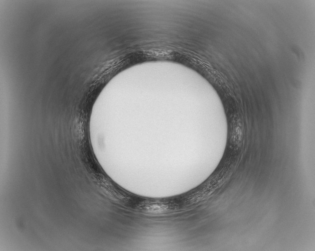 X0000115530658200912040951