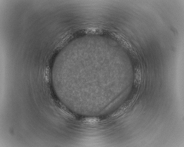 X0000115530659200912040951