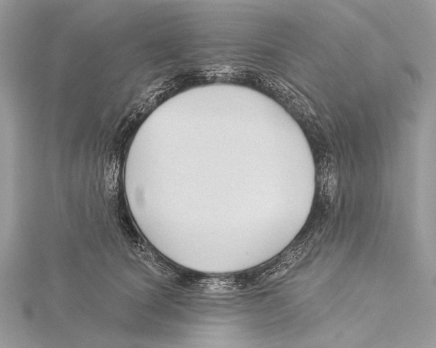 X0000115530660200912040951