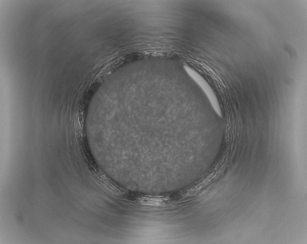 X0000115530661200912040951