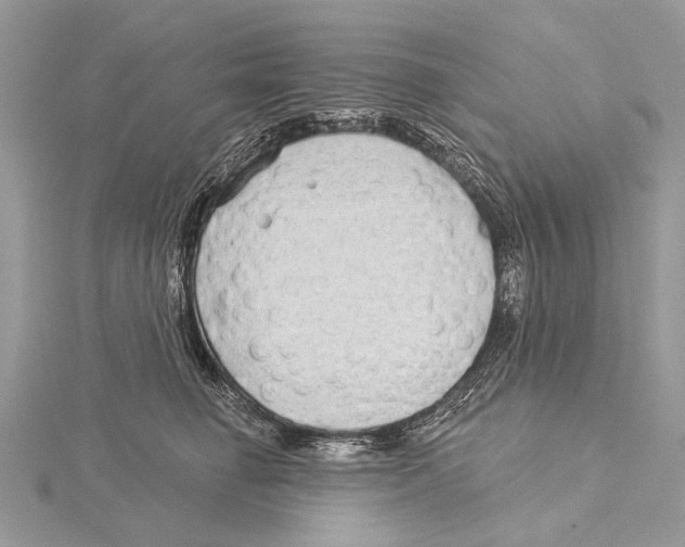 X0000115530662200912040951