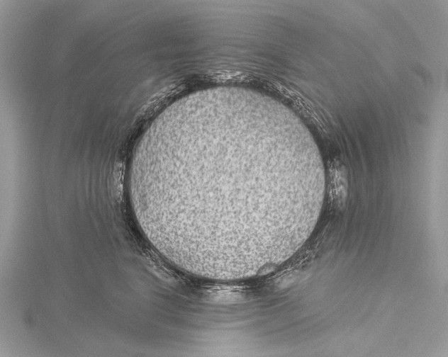 X0000115530664200912040951