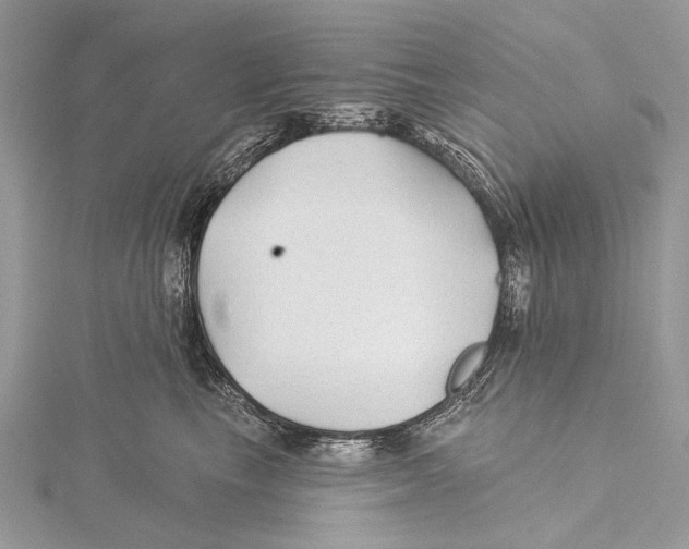 X0000115530665200912040951