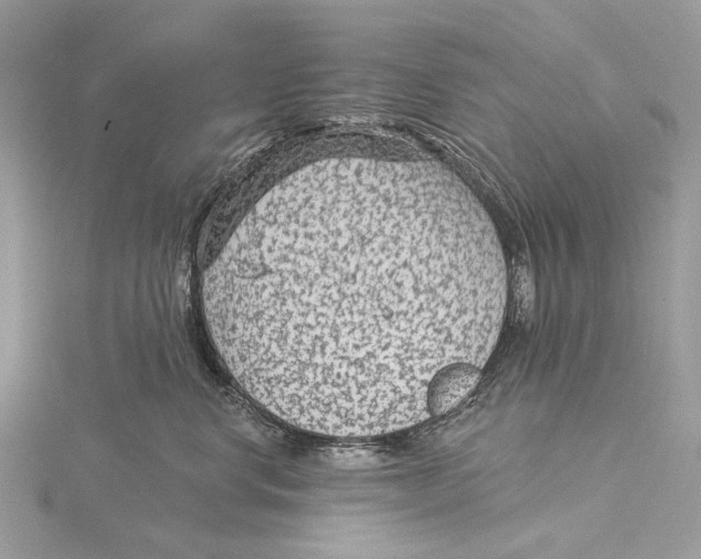 X0000115530668200912040951