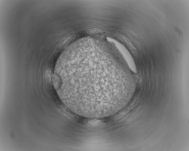 X0000115530669200912040951