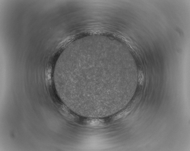 X0000115530670200912040951