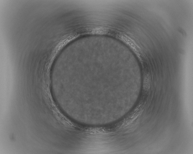 X0000115530673200912040950