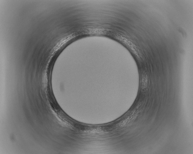 X0000115530674200912040950