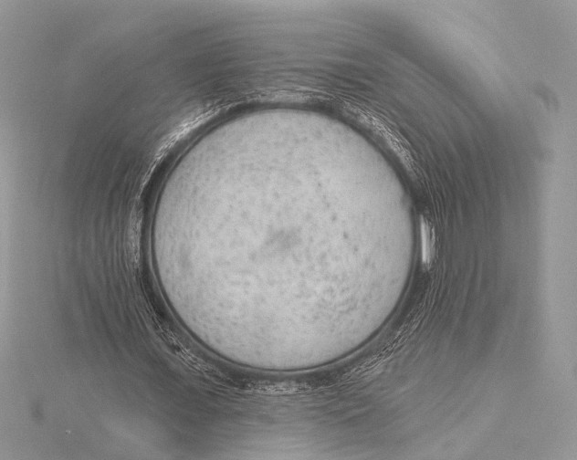 X0000115530675200912040950