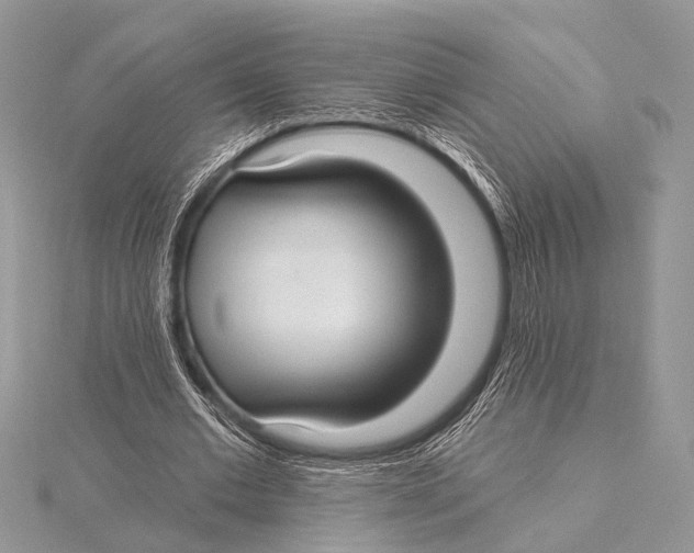 X0000115530677200912040950