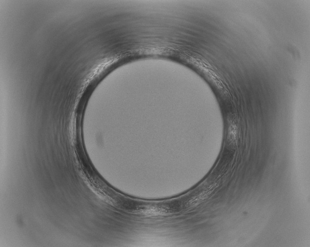 X0000115530678200912040950