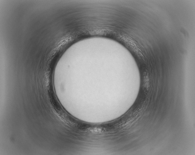 X0000115530687200912040950