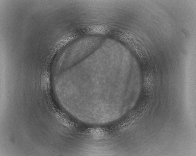 X0000115530688200912040950