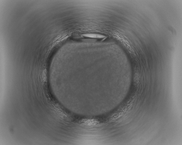 X0000115530689200912040950