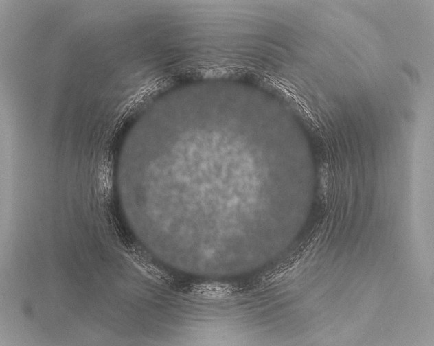 X0000115530691200912040950