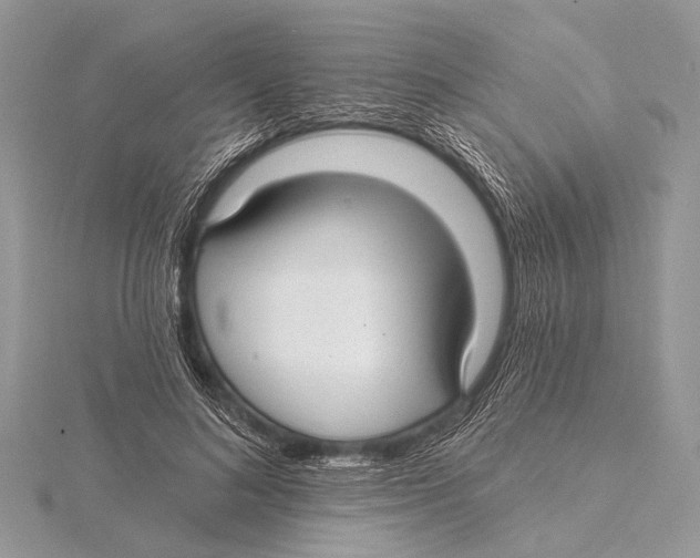 X0000115530692200912040950