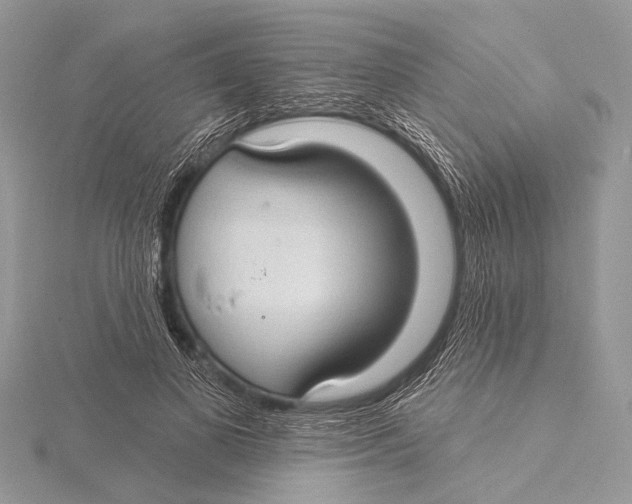 X0000115530693200912040950