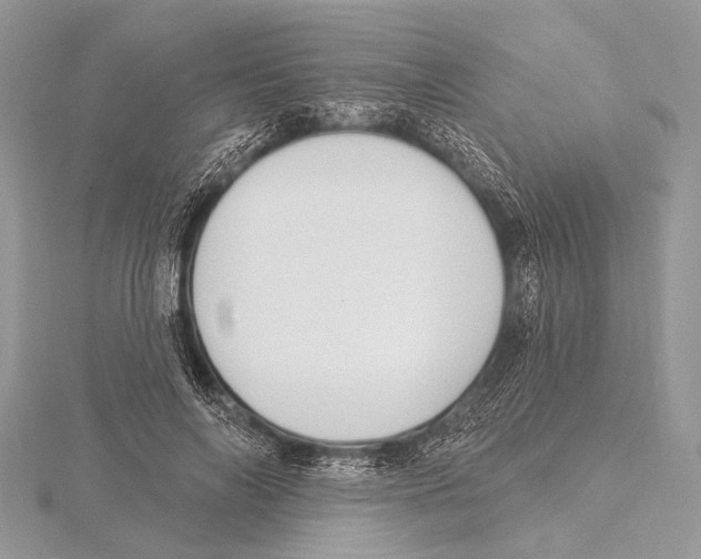 X0000115530694200912040950