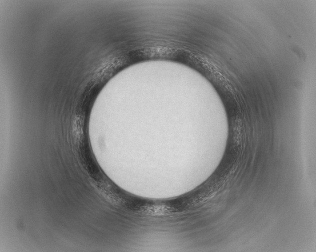 X0000115530695200912040950