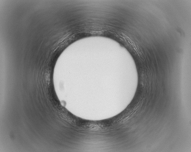 X0000115530697200912040950