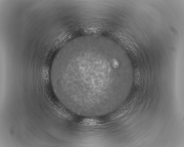 X0000115530699200912040950