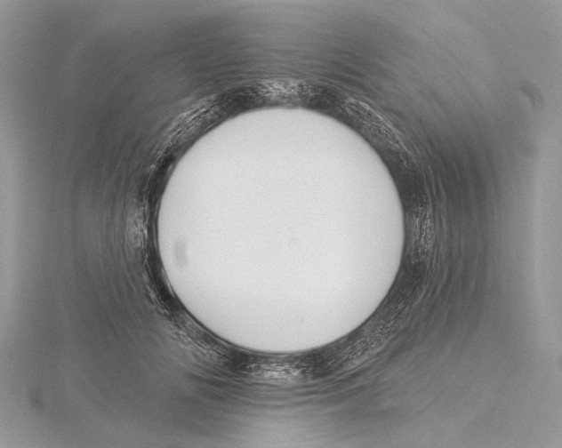 X0000115530702200912040950