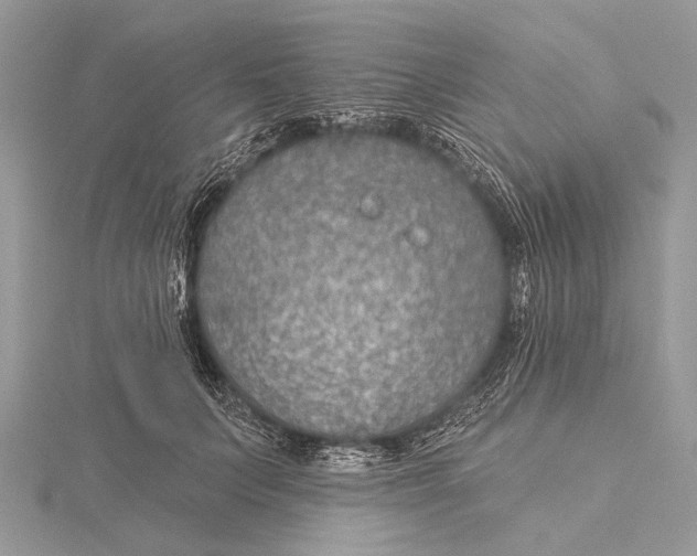 X0000115530703200912040950