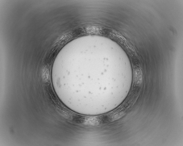 X0000115530705200912040950