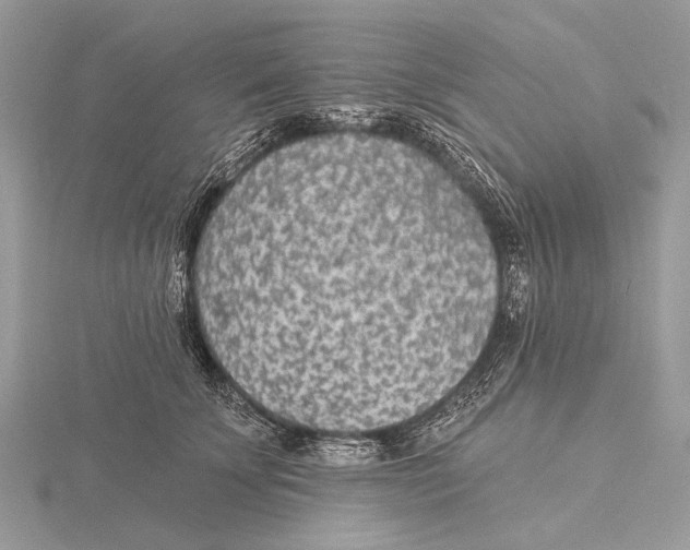 X0000115530707200912040950