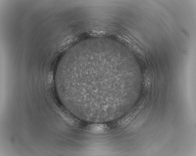 X0000115530711200912040950