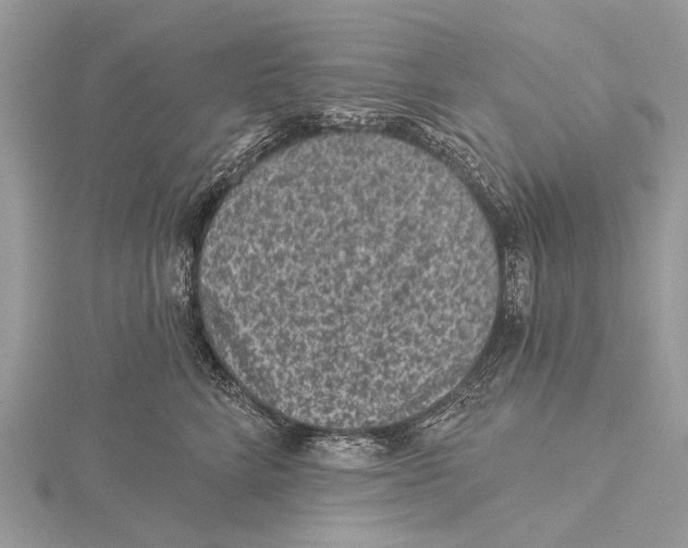 X0000115530712200912040950