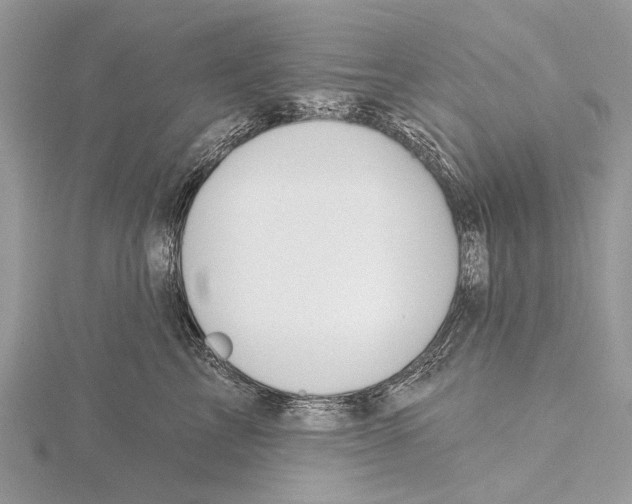 X0000115530713200912040950