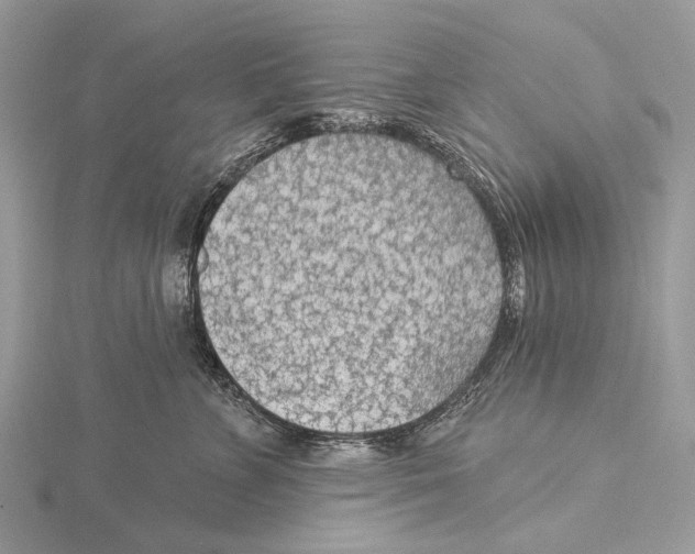 X0000115530715200912040950