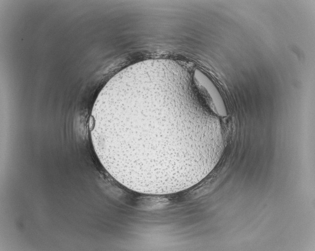 X0000115530719200912040950