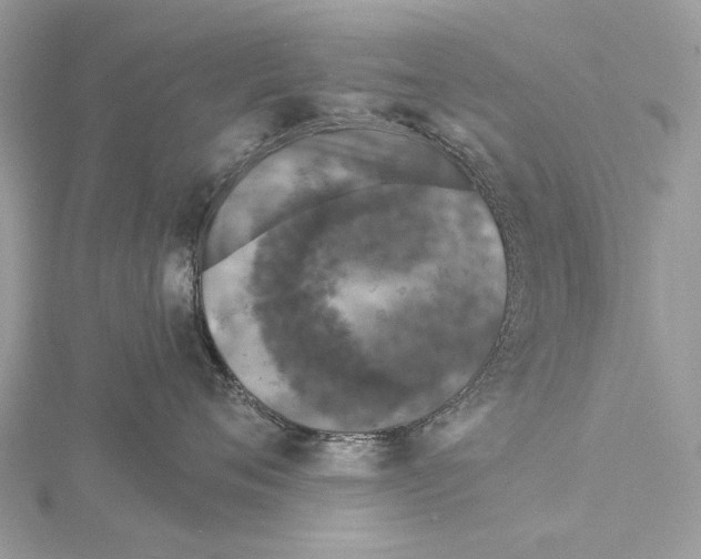 X0000115530720200912040950