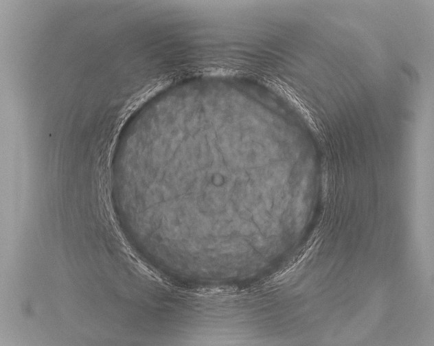 X0000115530721200912040949